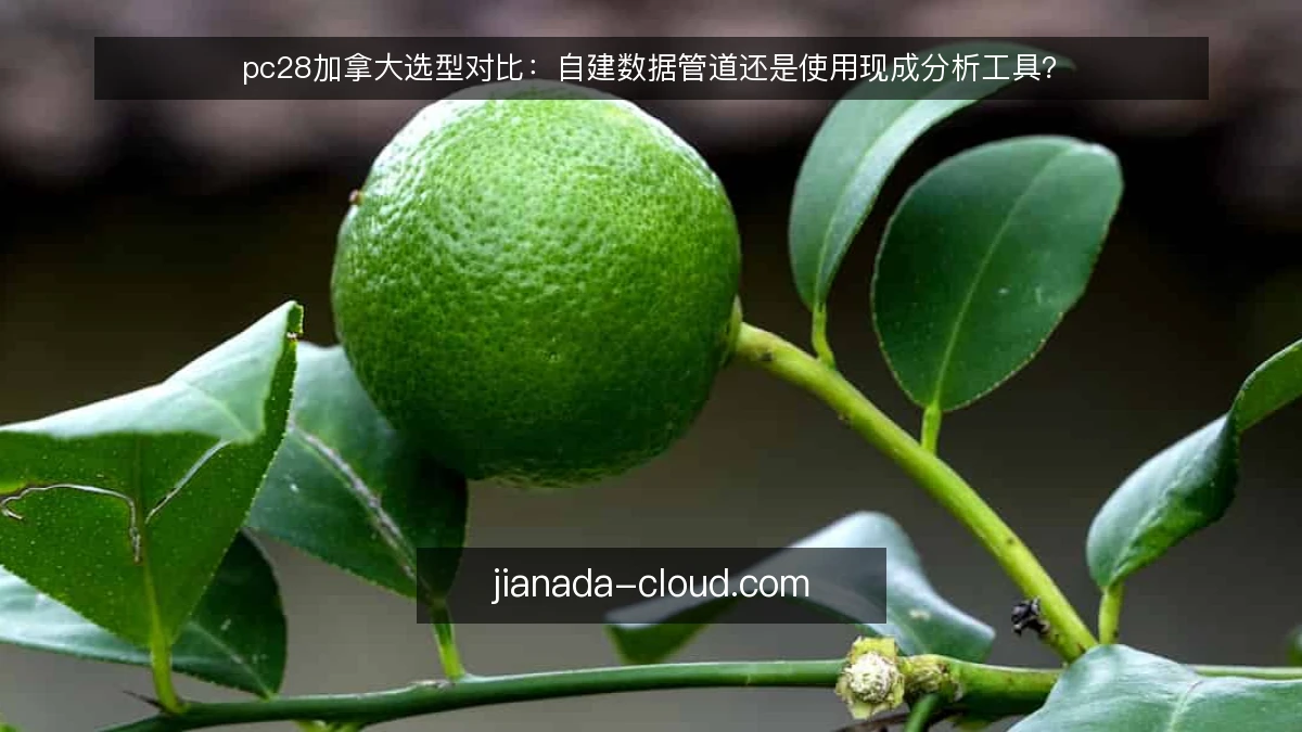 pc28加拿大选型对比:自建数据管道还是使用现成分析工具?