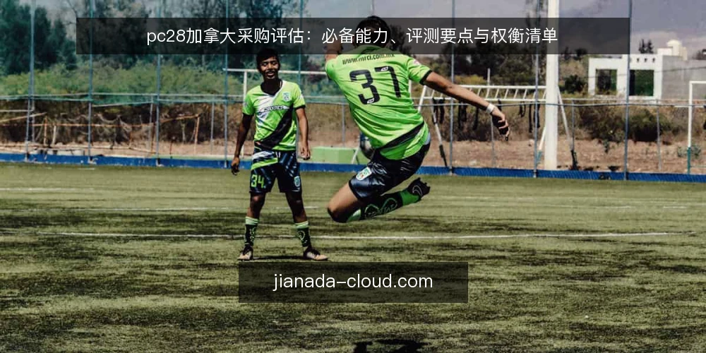 pc28加拿大采购评估：必备能力、评测要点与权衡清单 — 需求界定：先明确要解决的分析问题 配图